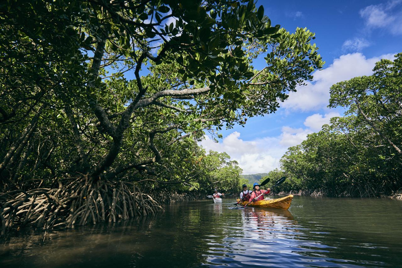 Отель Hoshinoya Taketomi Island Экстерьер фото